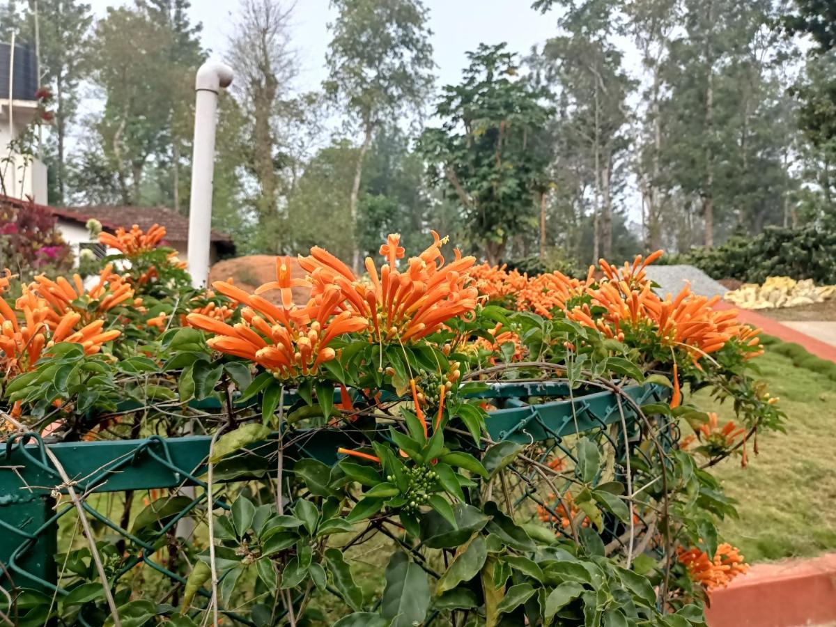 Coorg Kolamotte Hotel Gonikoppal Eksteriør billede